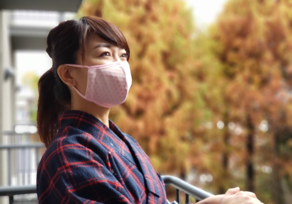 布類